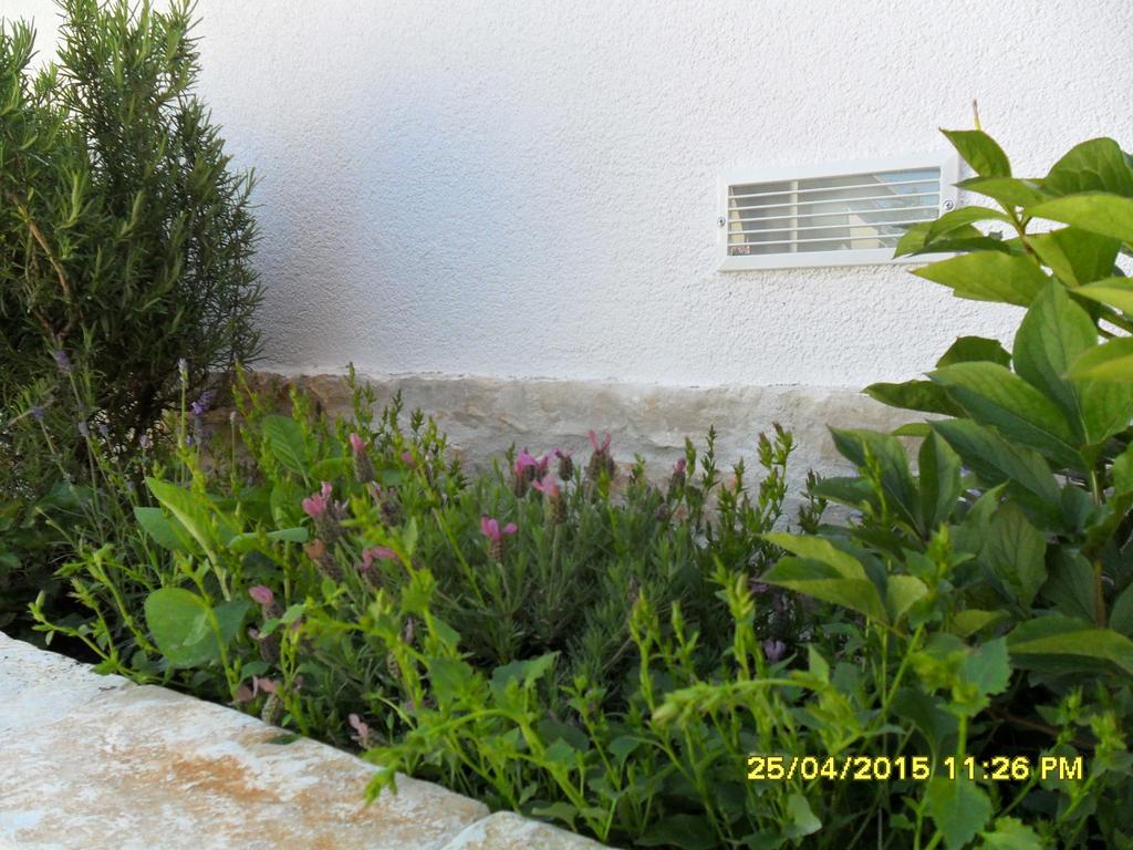 Apartments Val Umag Ngoại thất bức ảnh
